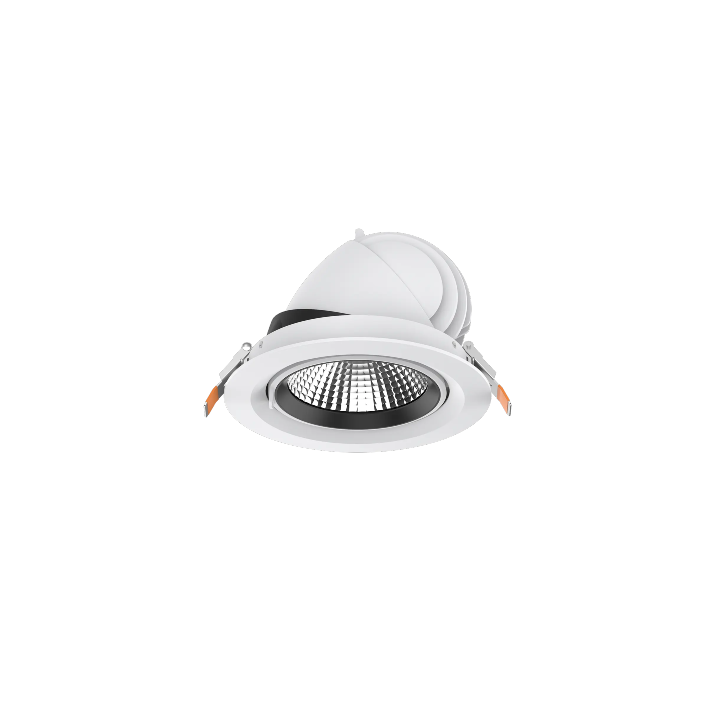 VECTO - MSR LIGHTING