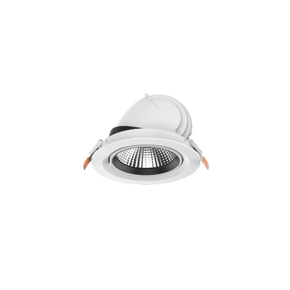 VECTO - MSR LIGHTING