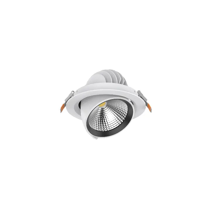 VECTO - MSR LIGHTING