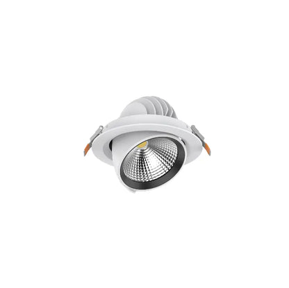 VECTO - MSR LIGHTING